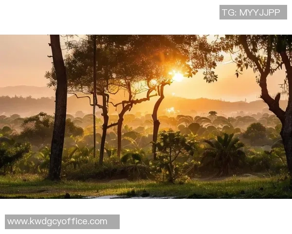 布莱克尼的神秘魅力探索与自然奇观的完美结合之旅